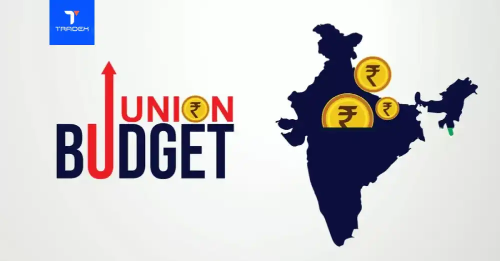 Union Budget 2025: The Secret Terms That Could Change Your Financial Future!